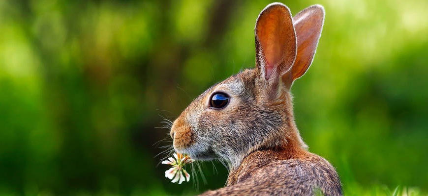 Ostern – Bilder und Eindrücke