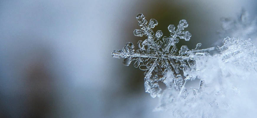 Leise rieselt der Schnee …