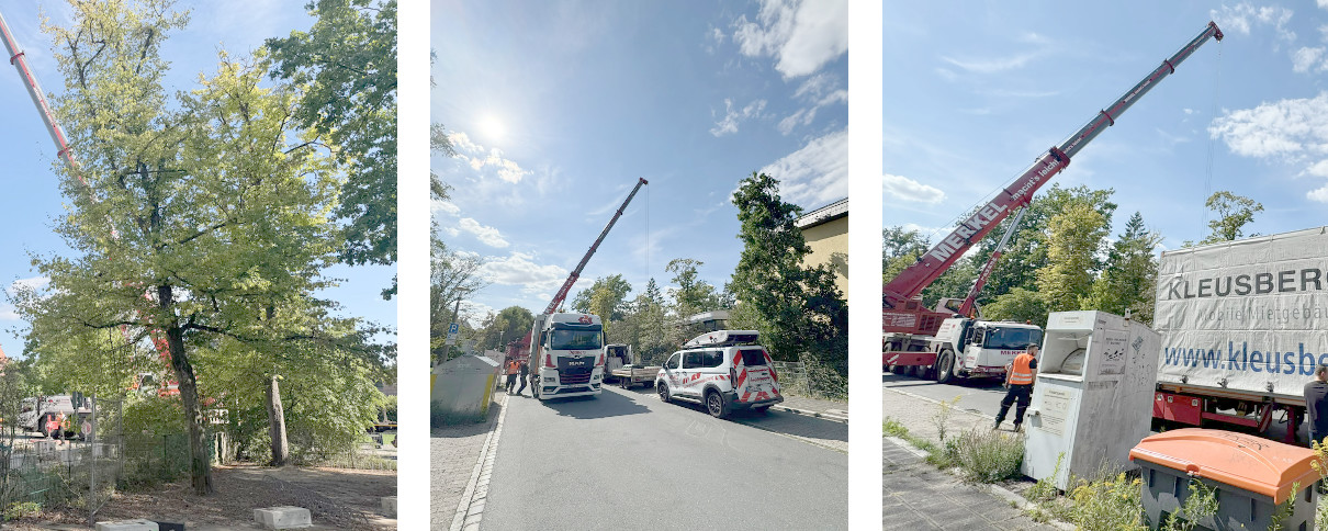 Der Herbst macht alles neu …